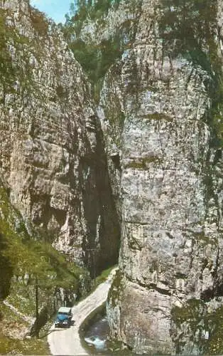 Romania Dambovicioara Gorge picturesque natural landscape detail view
