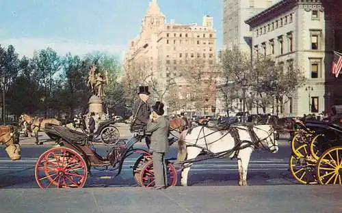USA New York City NY horse-drawn carriage