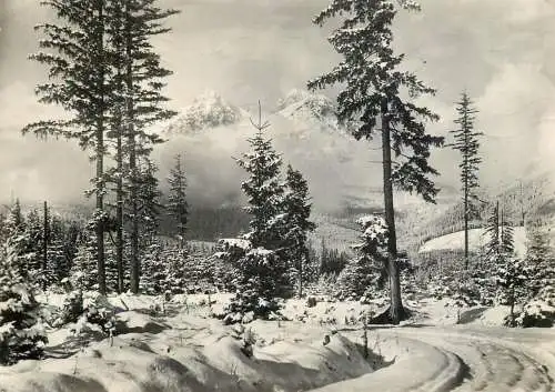 Slovakia Vysoke Tatry Lomnicky stit od Matliar winter scenery