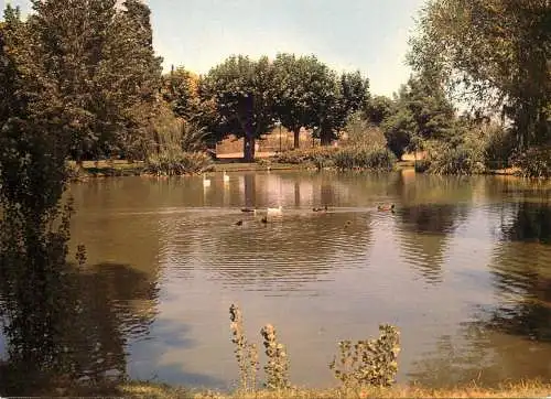 France Cote d'Azur Hyeres les palmiers