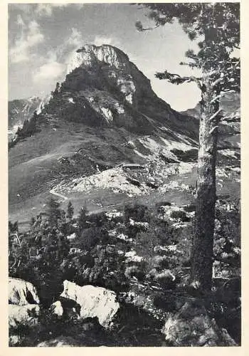 Austria Im Rofangebirge Gschhollkopf Sonnige Heimat