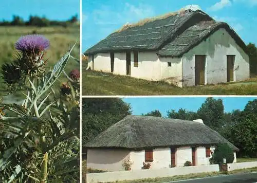 France Vendee Bourrines dans le marais