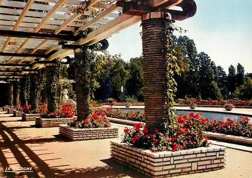 France Rhône > Lyon la Roseraie du parc