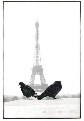 France Paris > Tour Eiffel