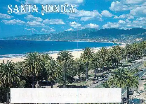 USA Santa Monica CA palm trees & beach view