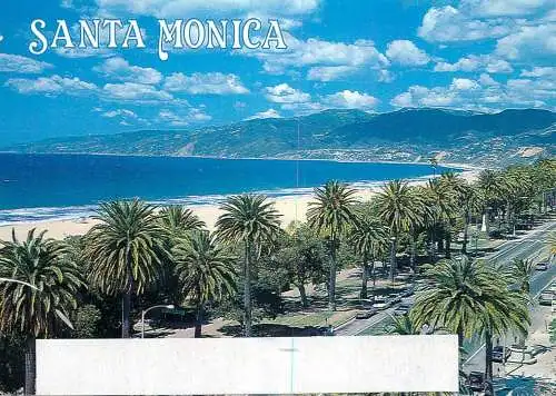 USA Santa Monica CA palm trees