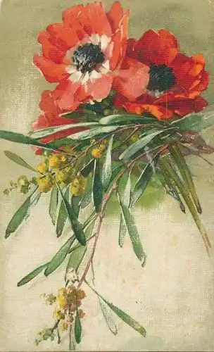 drawn poppy flowers postcard