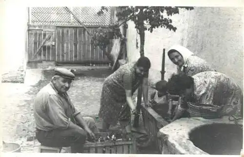 Real photo social history countryside types and scenes