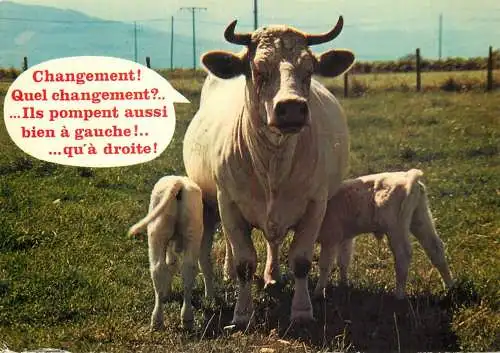 Animal postcard cows France humour 1988