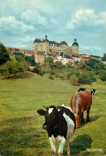 Animal postcard cows chateau en Dordogne Hautefort