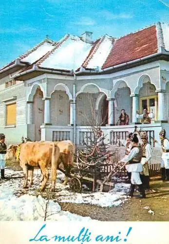 Animal postcard cows Romania 1967