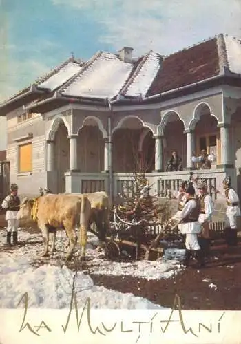 Animal postcard cows Romania 1967