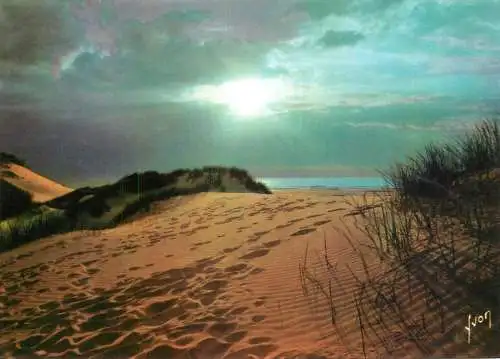 World sunset crepuscule coucher du soleil France soleil dans les dunes