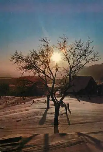 World sunset crepuscule coucher du soleil dans l'hiver