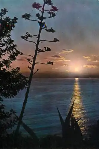 World sunset crepuscule coucher du soleil Mediterranee