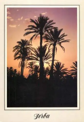 World sunset crepuscule coucher du soleil palm tree