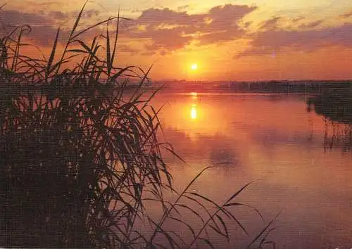 World sunset crepuscule coucher du soleil sur les Etangs