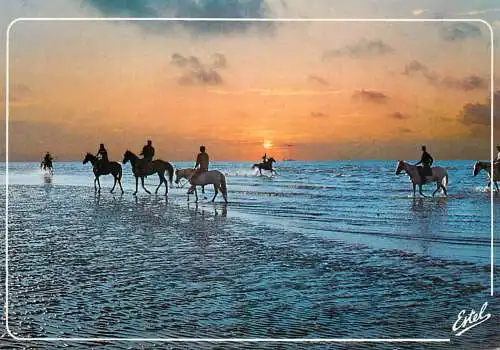 World sunset crepuscule coucher du soleil horse ride France