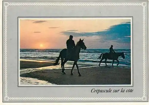 World sunset crepuscule coucher du soleil horse ride France