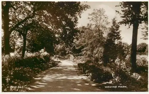 England Woking park