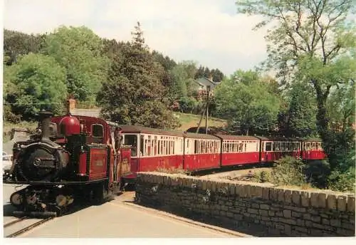 Merddin Emrys at Penrhyn Crossing train