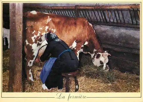 carte postale types et scènes de ferme - la fermiere traite une vache
