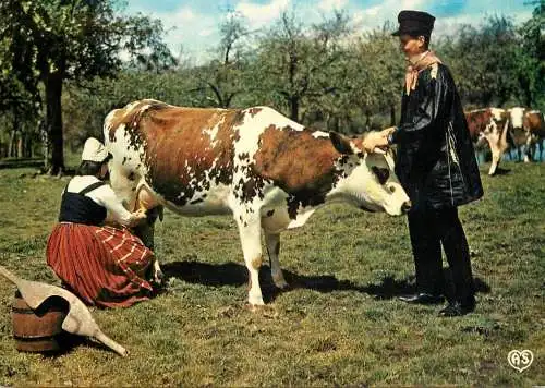 France Folklore Normande ethnic types and scenes woman milking cow