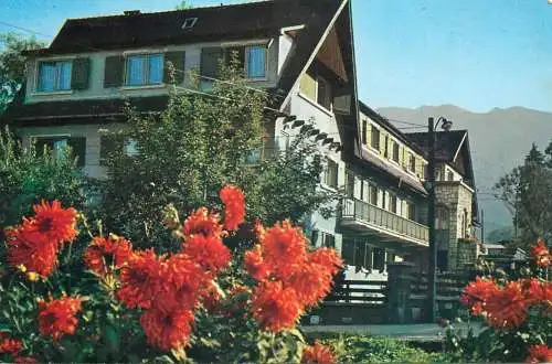 Romania Timisul de Jos Cabana Dambul Morii