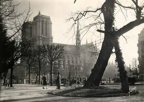 France Paris Catedrale Notre Dame vue du square Viviani