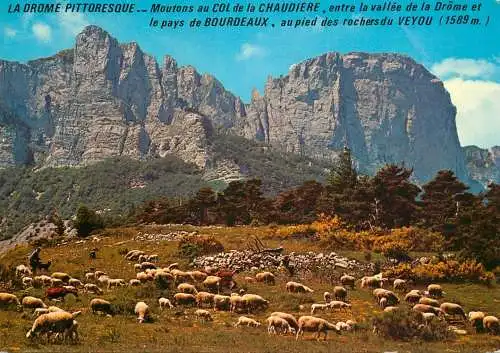 Animals postcard sheep moutons la Drome Col de la Chaudiere