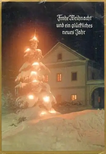 Holiday postcard New Year Christmas