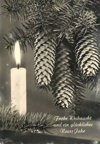 Holiday postcard New year