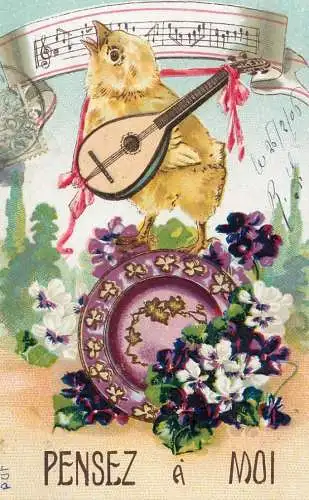 Music related vintage postcard humanized chicken playing a banjo