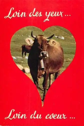 Animal postcard cows comic loin du coeur