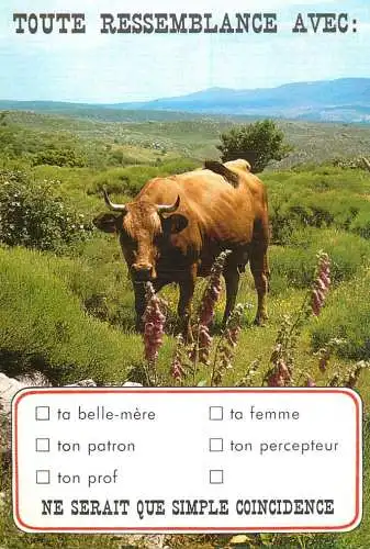 Animal postcard cows comic toute ressemblance avec