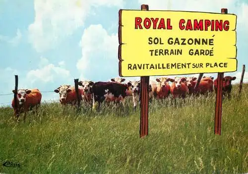 Animal postcard cows comic royal camping sol gazonne terrain garde