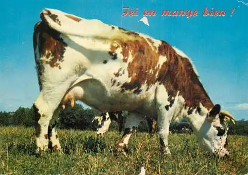 Animal postcard cows comic lei on mange bien
