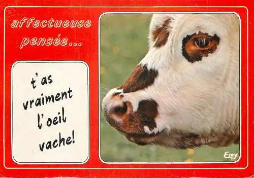 Animal postcard cows affectueuse pensee 1987