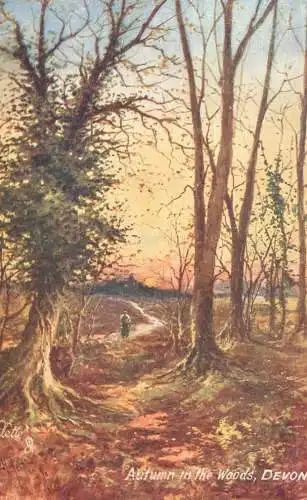 British fine art scenic postcard Devon autumn in the woods