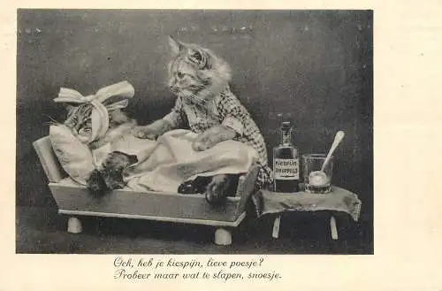 Animal postcard humanized cats nursing