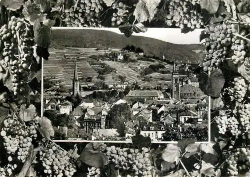 Germany Neustadt an der Weinstrasse multi view