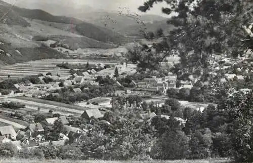Romania Zizin 1965