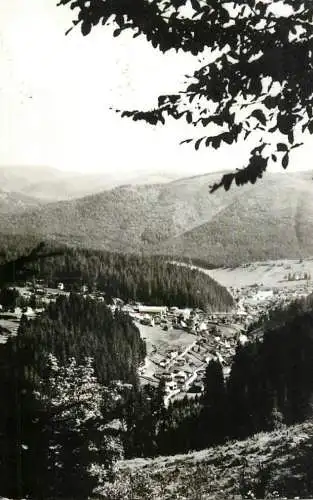 Romania Borsec panorama