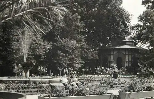 Romania Buzias parc 1972
