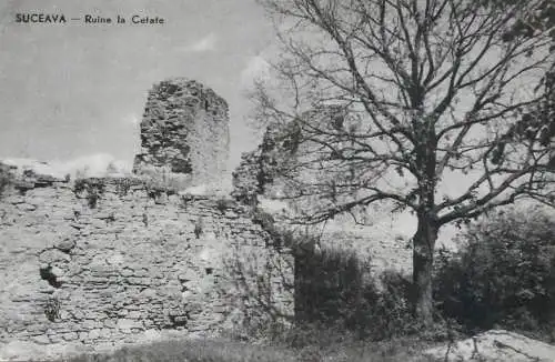 Romania Suceava ruine la cetate