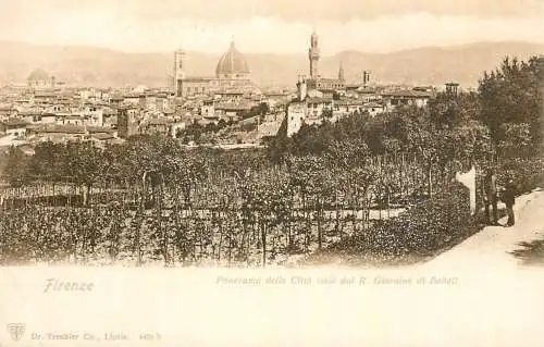 Italy Toscana Florence panorama