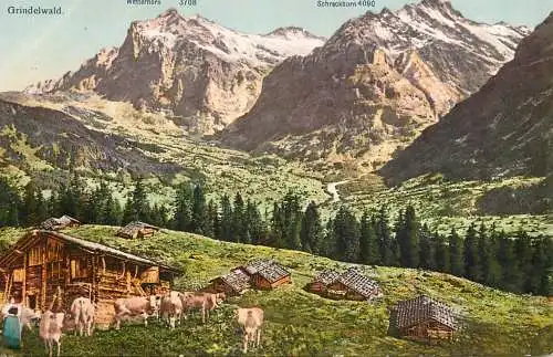 Switzerland Grindelwald