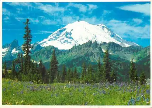 USA Mount Ranier National Park WA picturesque natural landscape