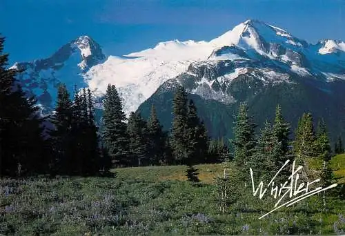 Canada Whistler BC Garibaldi Park Singing Park flowered meadow view