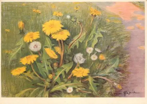 Flora illustration Lions teeth flowers Aimee Rapin signed painting